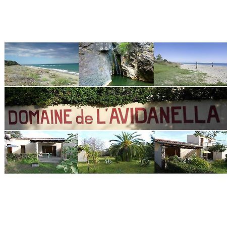 Domaine De L'Avidanella Leilighet Santa-Lucia-di-Moriani Eksteriør bilde
