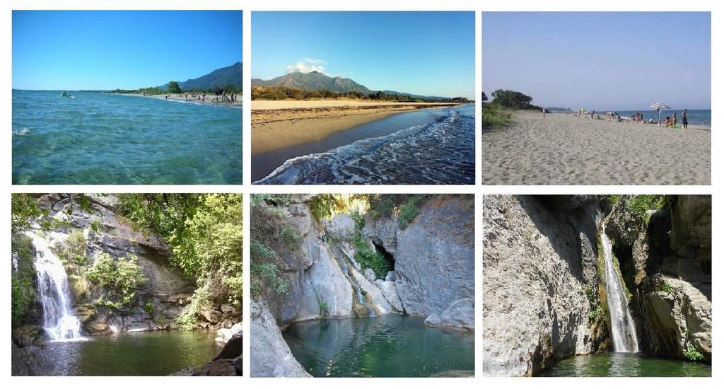 Domaine De L'Avidanella Leilighet Santa-Lucia-di-Moriani Eksteriør bilde