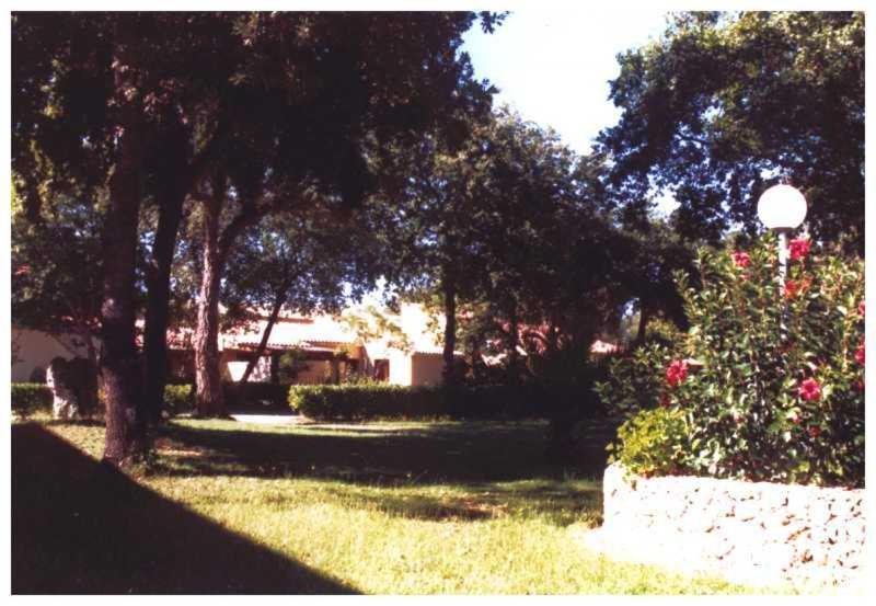 Domaine De L'Avidanella Leilighet Santa-Lucia-di-Moriani Eksteriør bilde