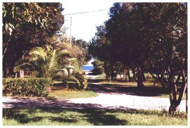 Domaine De L'Avidanella Leilighet Santa-Lucia-di-Moriani Eksteriør bilde