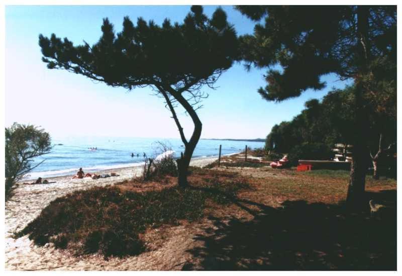 Domaine De L'Avidanella Leilighet Santa-Lucia-di-Moriani Eksteriør bilde