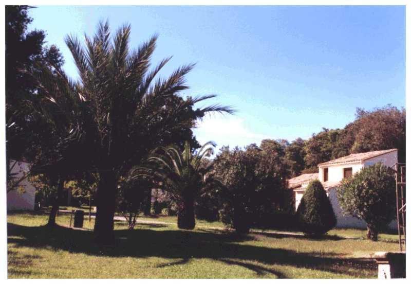 Domaine De L'Avidanella Leilighet Santa-Lucia-di-Moriani Eksteriør bilde