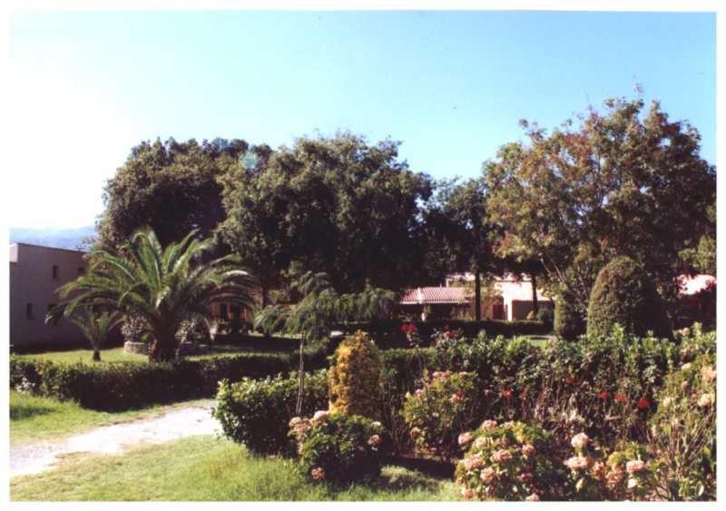 Domaine De L'Avidanella Leilighet Santa-Lucia-di-Moriani Eksteriør bilde