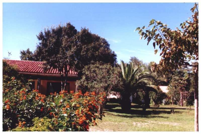 Domaine De L'Avidanella Leilighet Santa-Lucia-di-Moriani Eksteriør bilde