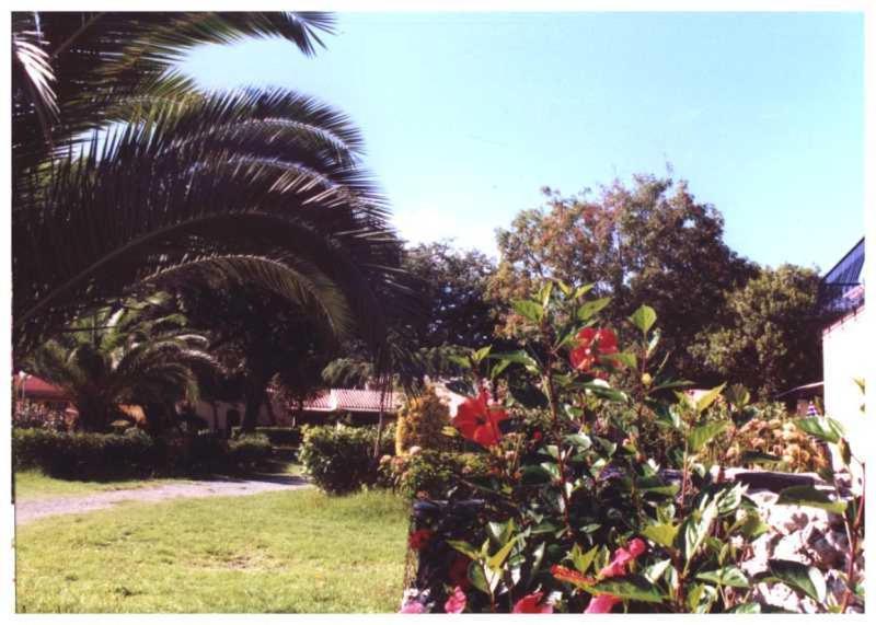 Domaine De L'Avidanella Leilighet Santa-Lucia-di-Moriani Eksteriør bilde