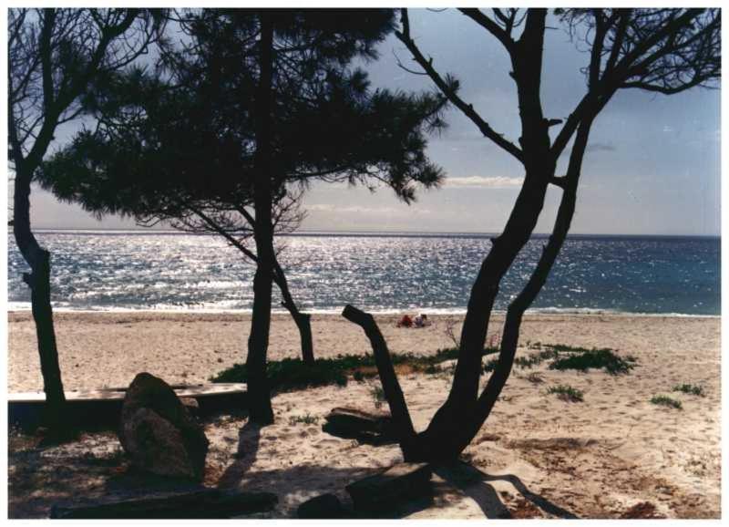 Domaine De L'Avidanella Leilighet Santa-Lucia-di-Moriani Eksteriør bilde